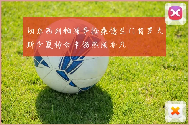 切尔西利物浦争抢桑德兰门将罗夫斯今夏转会市场热闹非凡